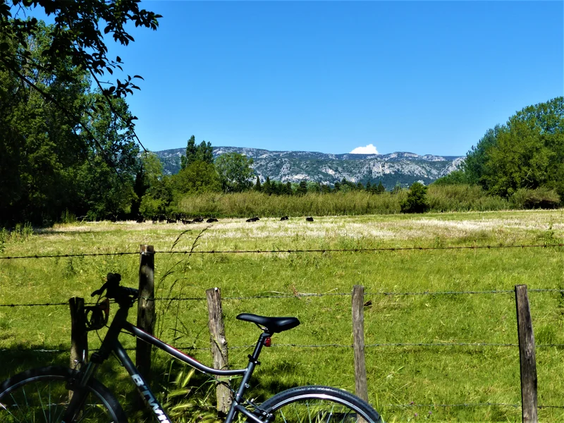 Vélo de route SÉNAS - Perrier Redon à vélo