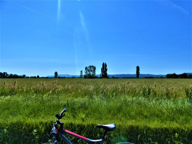 Vélo de route TARASCON - La campagne provençale à vélo