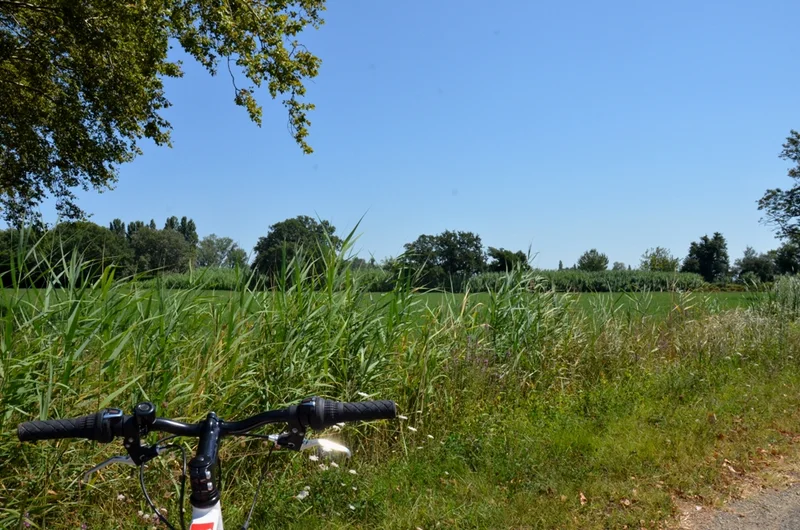 Vélo de route ARLES - De la Crau aux Marais du Vigueirat à vélo