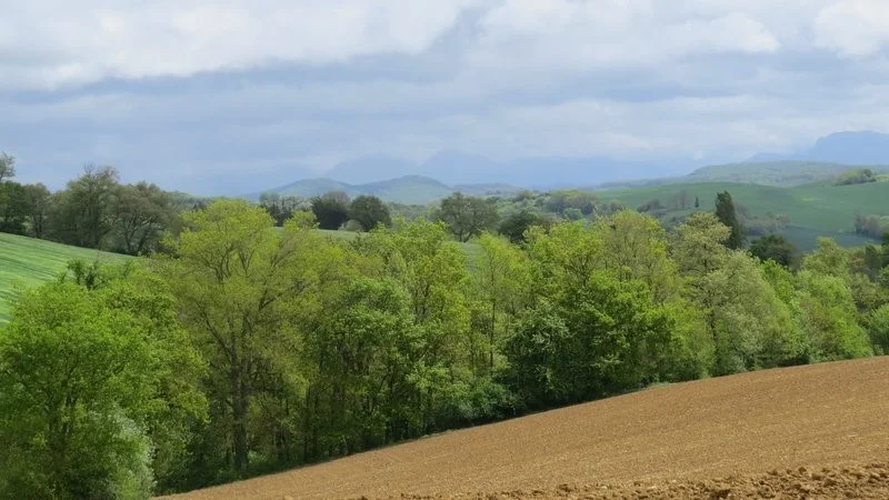 Randonnée Aurignac "Sentier de Las Bordes" · Aurignac