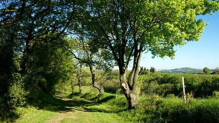 Randonnée Montgaillard sur Save "La métairie du pont" · Montgaillard-sur-Save