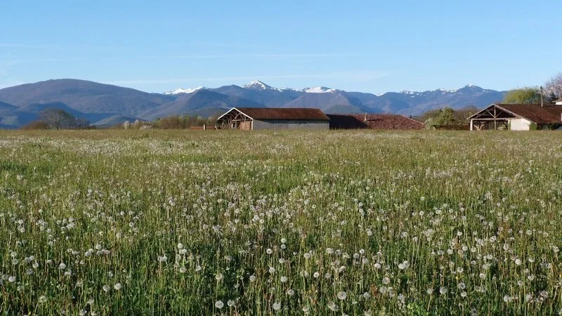 Randonnée Les Toureilles "Pile funéraire de Clergue" · Les Tourreilles