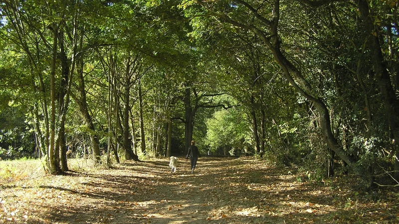 Randonnée Ponlat-Taillebourg "Source Saint-Jean" · Ponlat-Taillebourg