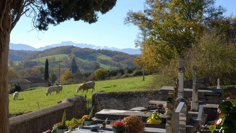 Randonnée Saint-Plancard "Chêne de L'Hourmagne" · Saint-Plancard