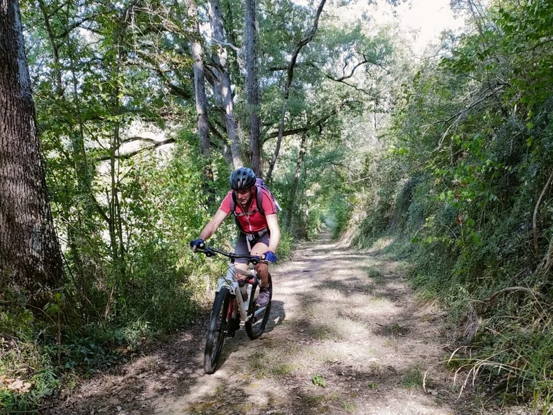VTT N°3 Vert: Vallée de la Save et de Larjo