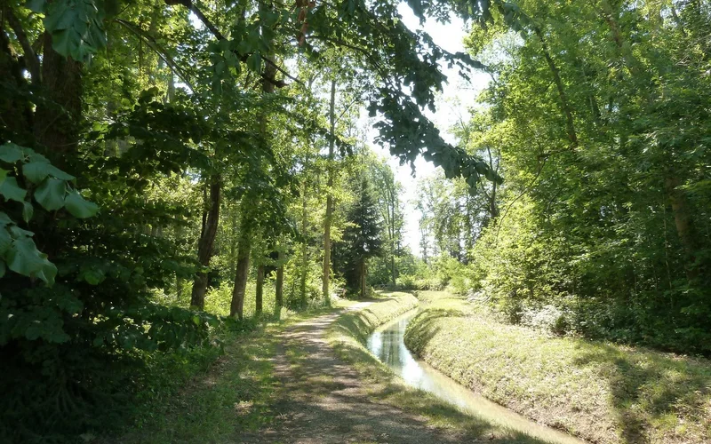 VTT N°16 Vert: Découverte de l'arboretum de la forêt de Cardeilhac (0)