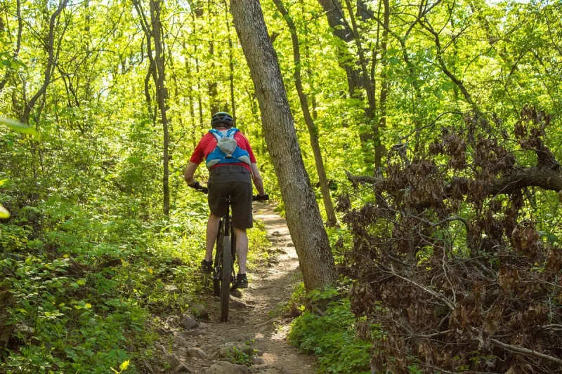 VTT N°17 Bleu: Sur les traces du nain "Ilex" (0)