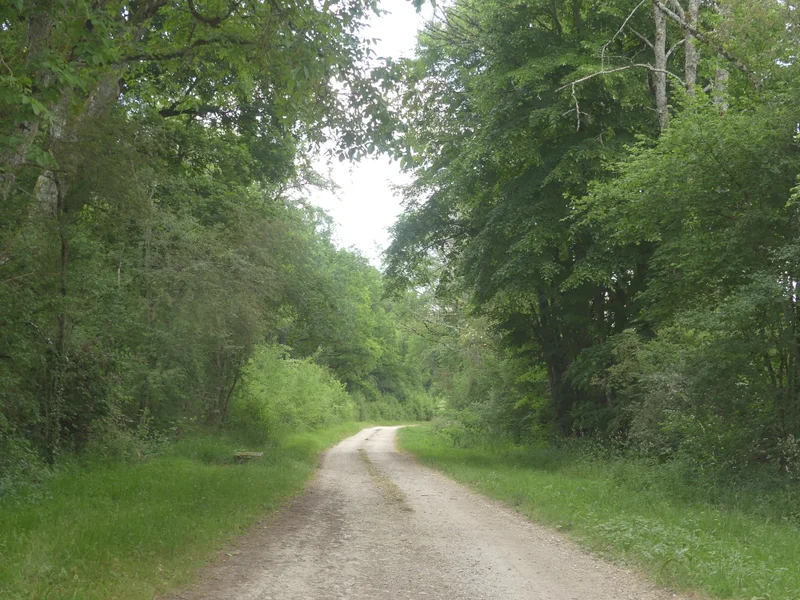 Randonnée Circuit du Mont Remin