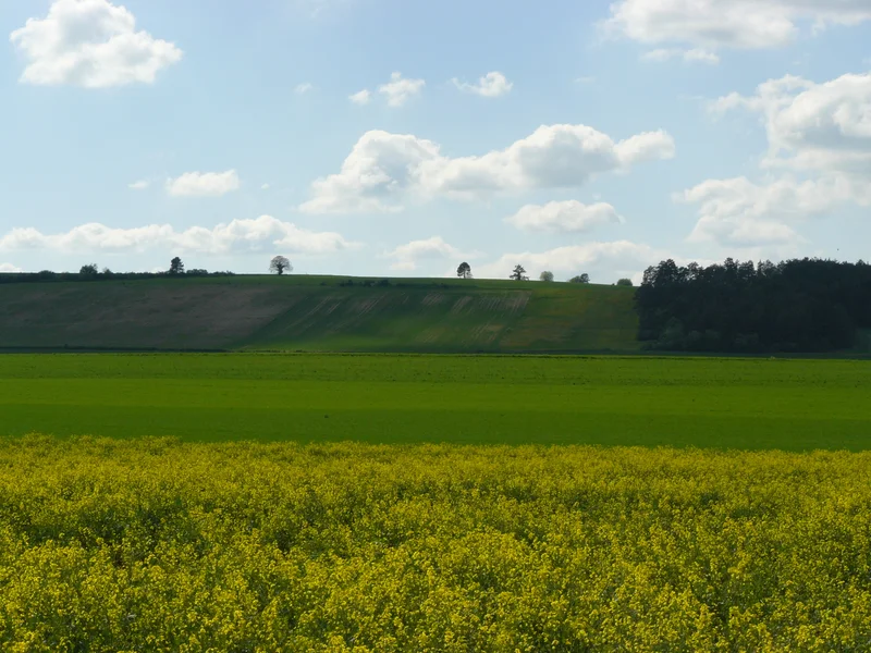 Randonnée Le circuit d'Epailly