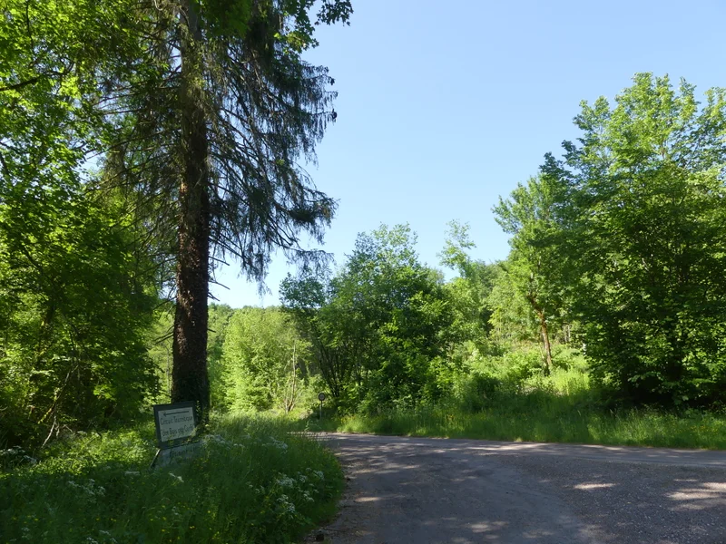 Randonnée Le circuit des Marots