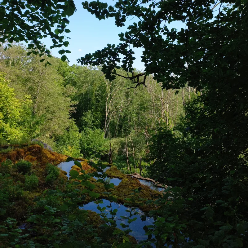 Randonnée Sentier de découverte de la tufière de Rolampont