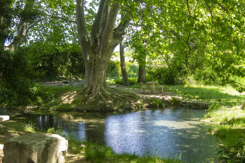 Randonnée Balade à la fontaine de Tavie