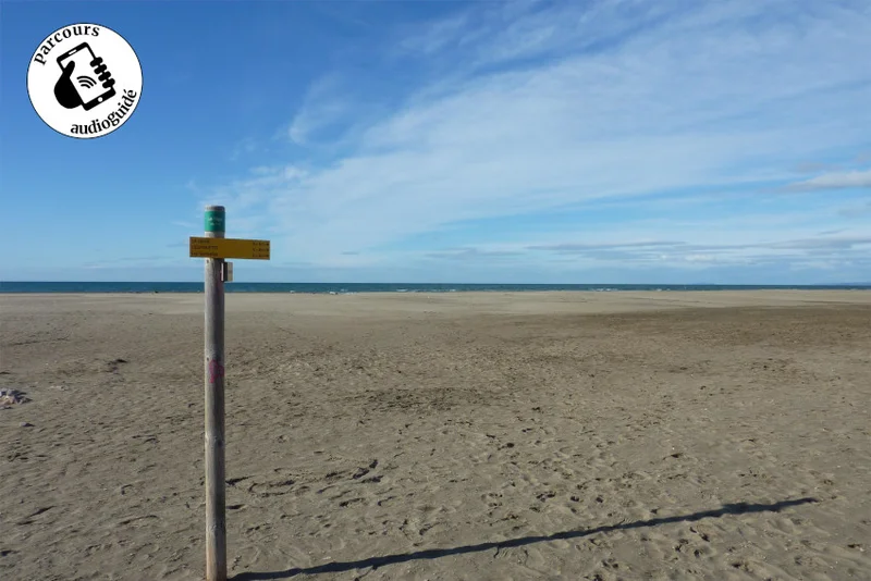 Randonnée Balade sur le bord de mer sauvage · Le Grau-du-Roi