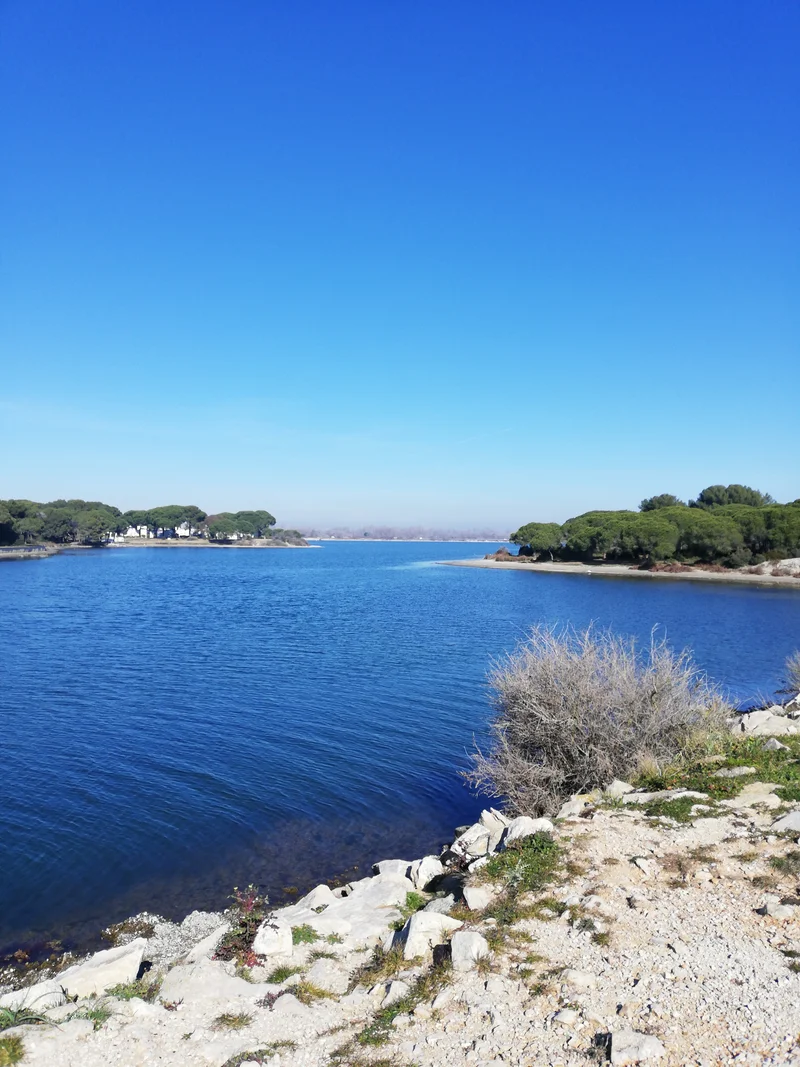 Randonnée Balade La Pinède du Ponant