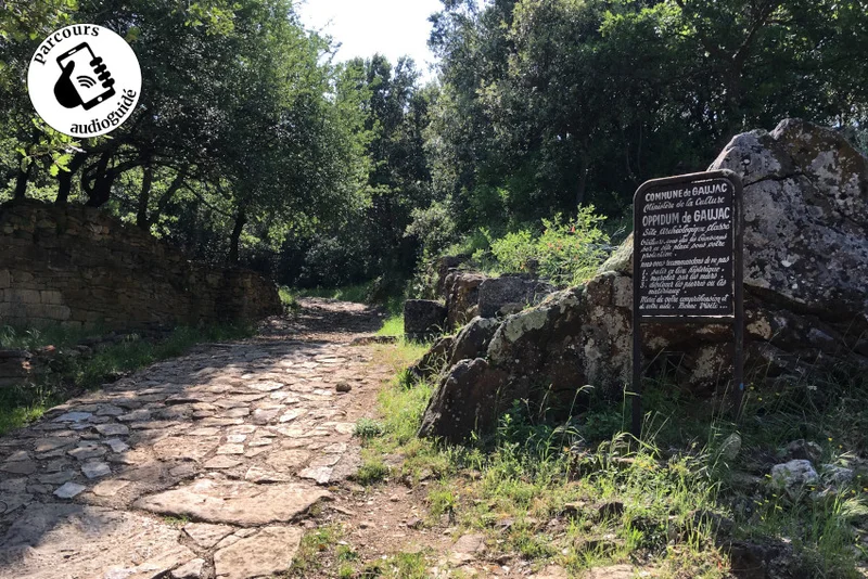 Randonnée Randonnée Le chemin de Masmolène