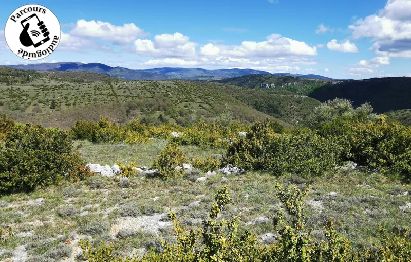 Randonnée Balade Le Sentier du Bout du Causse