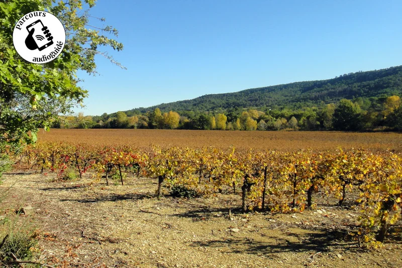 Randonnée Randonnée Le sentier du terroir
