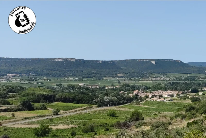 Randonnée Randonnée sur le terroir des Côtes du Rhônes