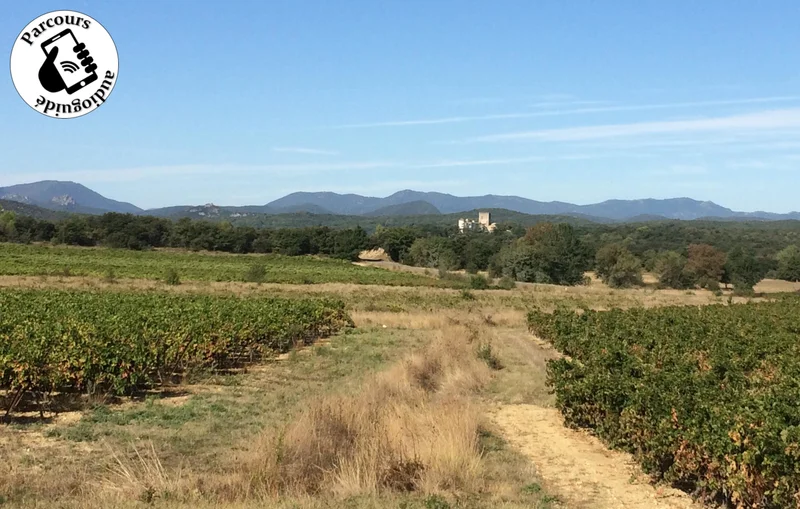 VTT Parcours VTT De Bois en Vignes