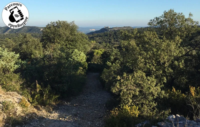 VTT Parcours VTT La Montagne de Lirac