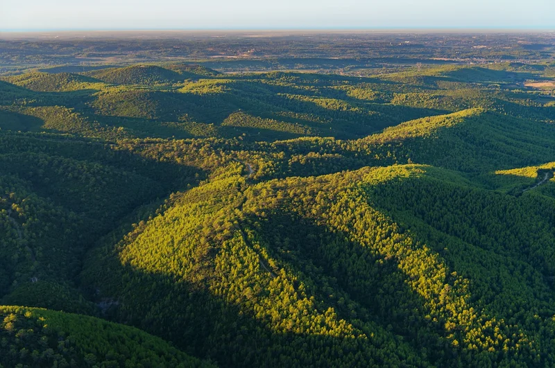 VTT Parcours VTT Le Bois des Lens.