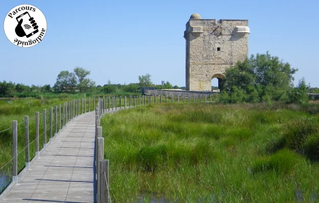 VTT Parcours VTT Terre de Camargue