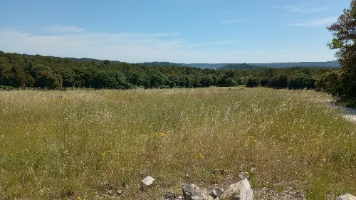 VTT Parcours VTT: Autour des bois du ruisseau de Courmelle