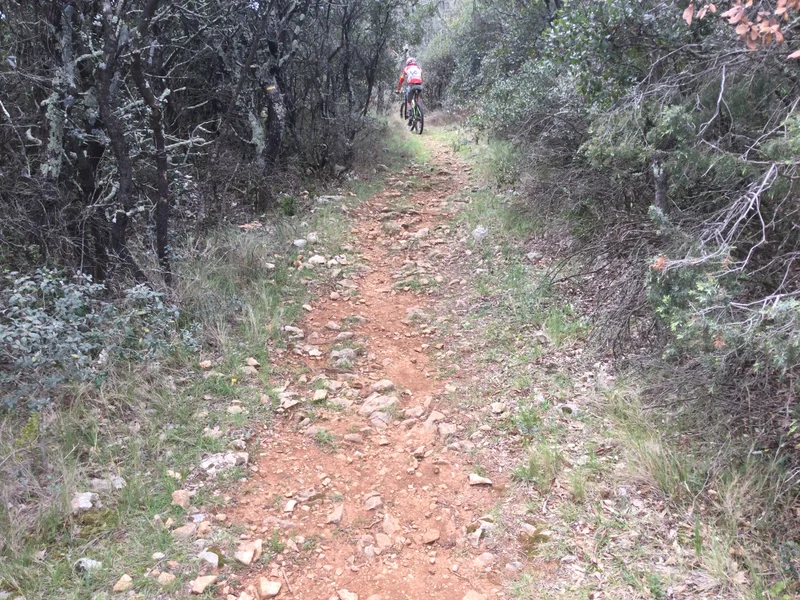 VTT VTT-FFC® - Serre de la Grange · Méjannes-le-Clap