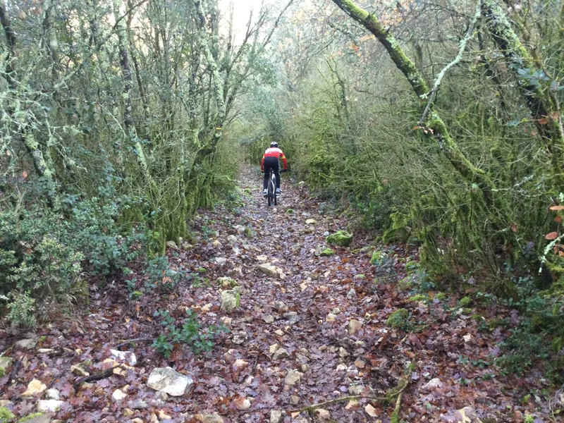 VTT VTT-FFC® - La Baume des Fades et l'Aven de Peyre Haute
