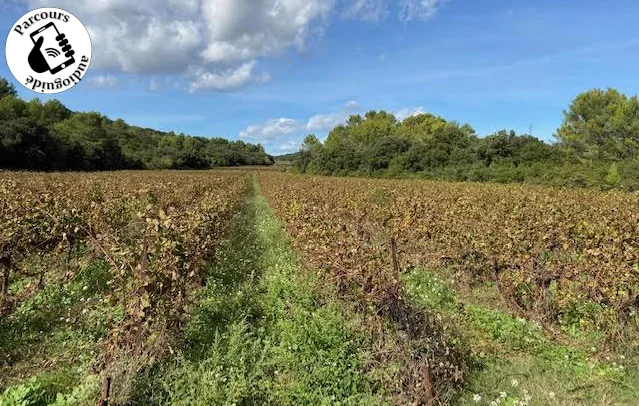 Vélo de route Boucle cyclo-découverte de l'Aqueduc · Bezouce
