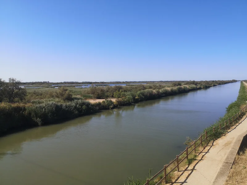 Vélo de route Boucle cyclo découverte La Camargue Gardoise · Vauvert