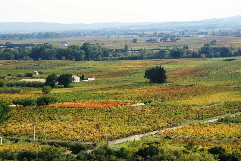 Vélo de route Boucle cyclo-découverte la Vigneronne · Laudun