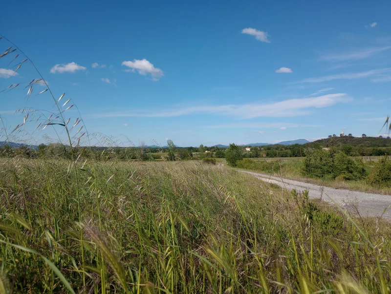 Vélo de route Boucle cyclo-découverte le Criterium des Vignes