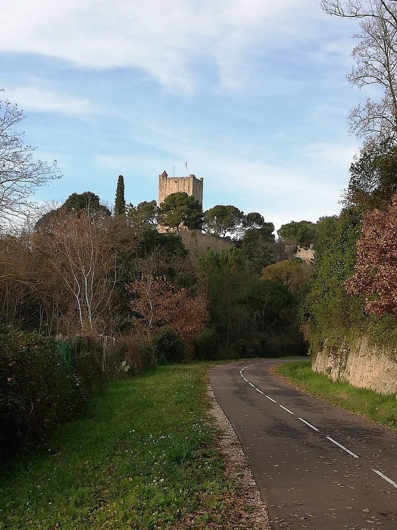 Vélo de route Voie verte Sommières-Fontanès
