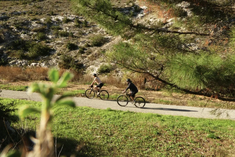 Vélo de route Boucle cyclo-découverte La Côte du Rhône