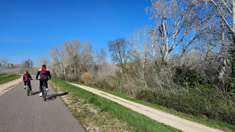 Vélo de route Voie verte Beaucaire Fourques · Beaucaire