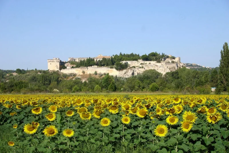 Vélo de route Boucle cyclo-découverte La rive droite du Rhône