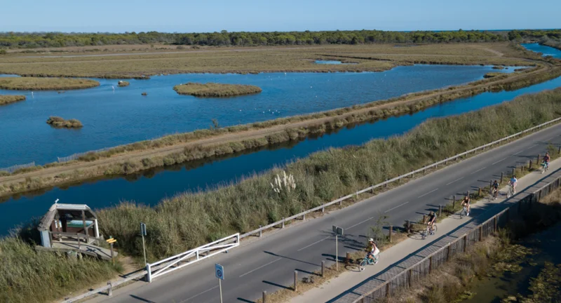 Vélo de route Voie verte de L'Espiguette