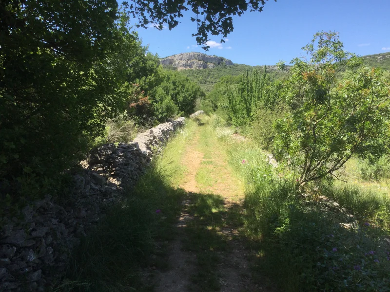 Vélo de route Lussan, village perché de caratère (Gravel)