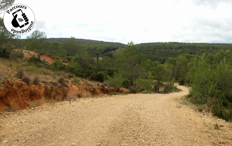 Trail Trail Le Vallon de Robiac