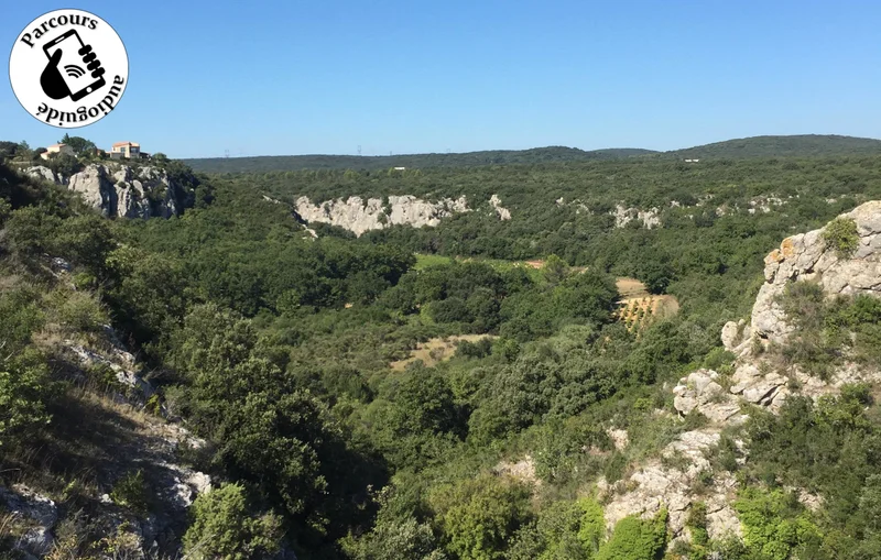 Trail Trail de la Combe