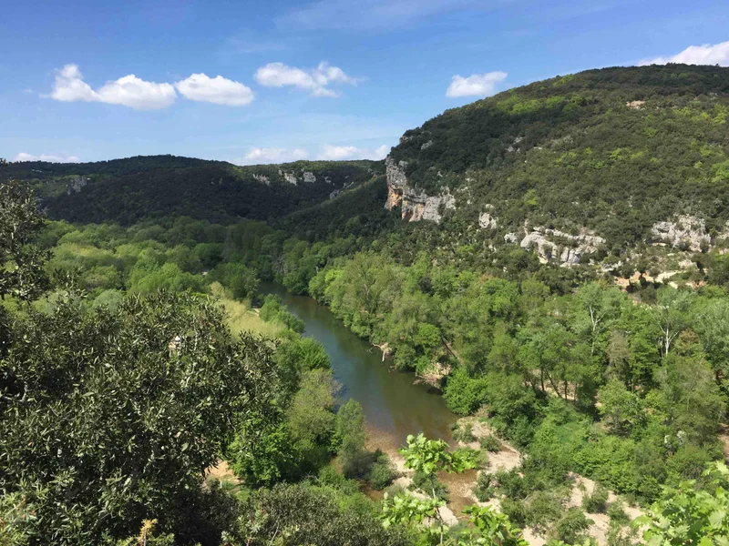 Trail Trail Les Combes de Mousse