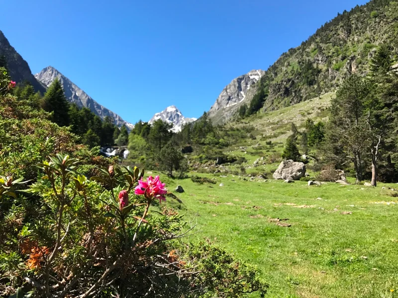 Randonnée Lac et refuge d'Estom