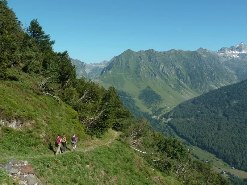 Randonnée La montagne fleurie