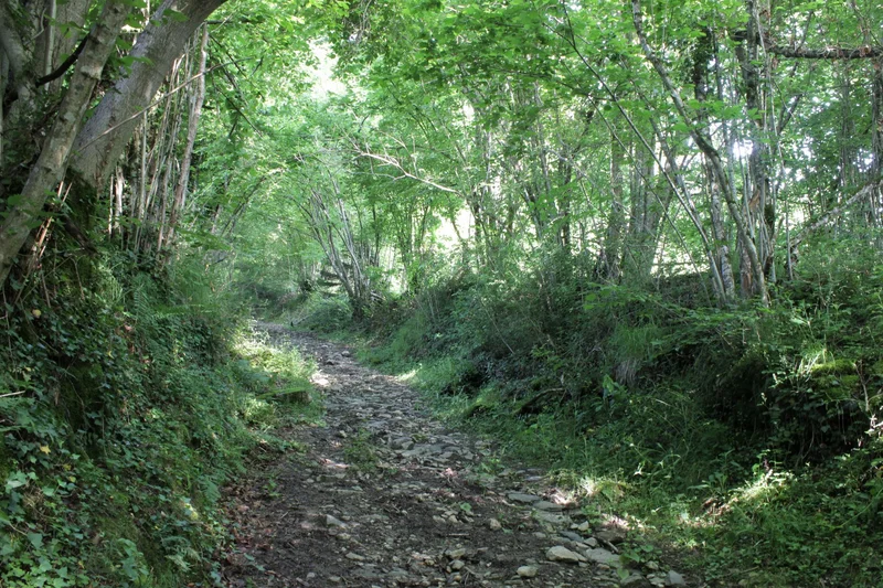 Randonnée Les granges des Artigaux