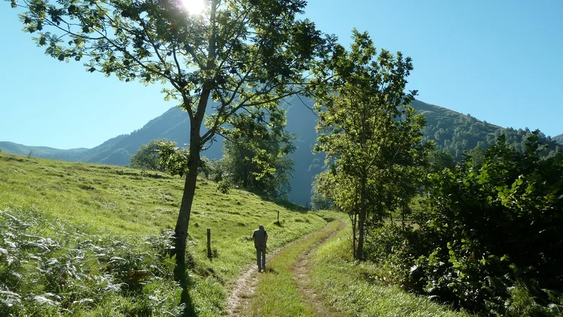 Randonnée D'Ortiac à Isaby