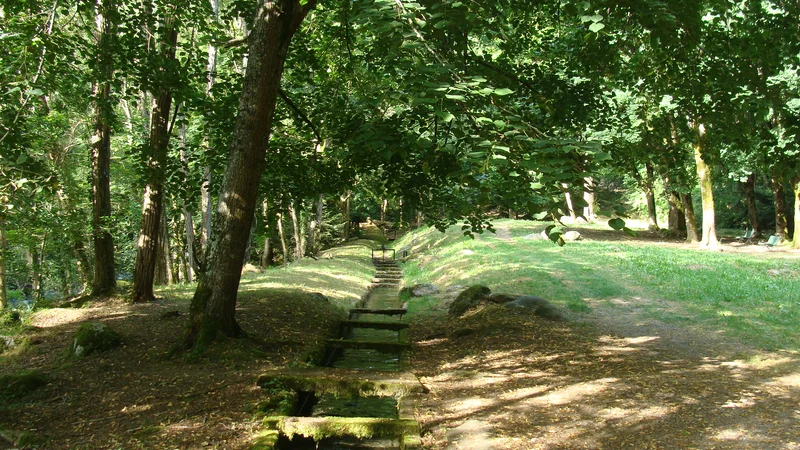 Randonnée La Boucle de l'Arrieulat