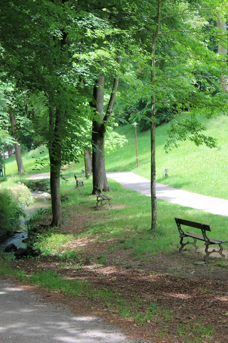 Randonnée Le Vallon du Salut et les allées Maintenon