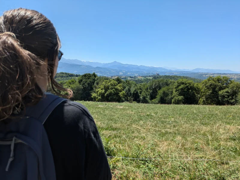 Randonnée Chemin des Vignes