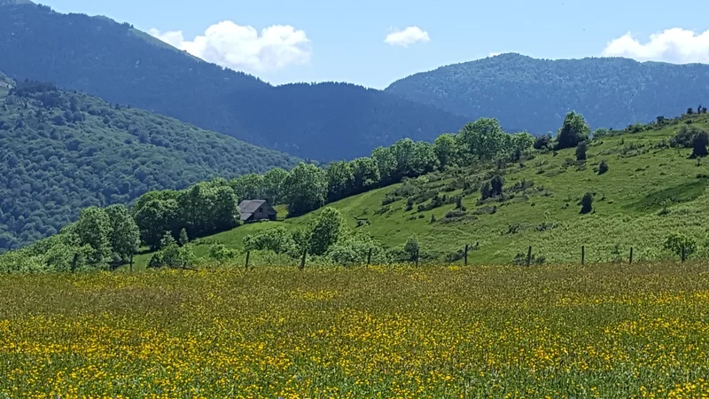 Randonnée Les granges des Sarrats